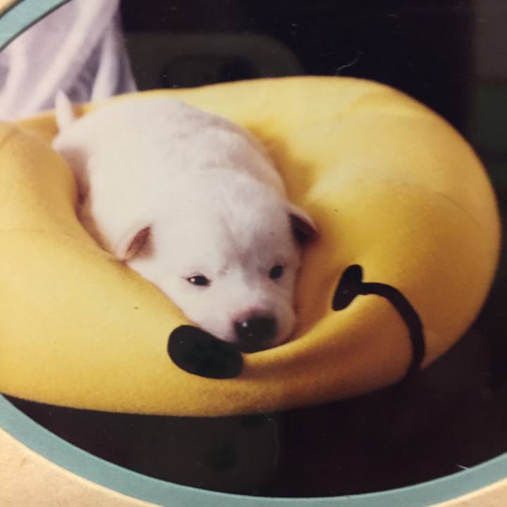 2a2f9149 6ccf 41a3 b046 c26642a132f1