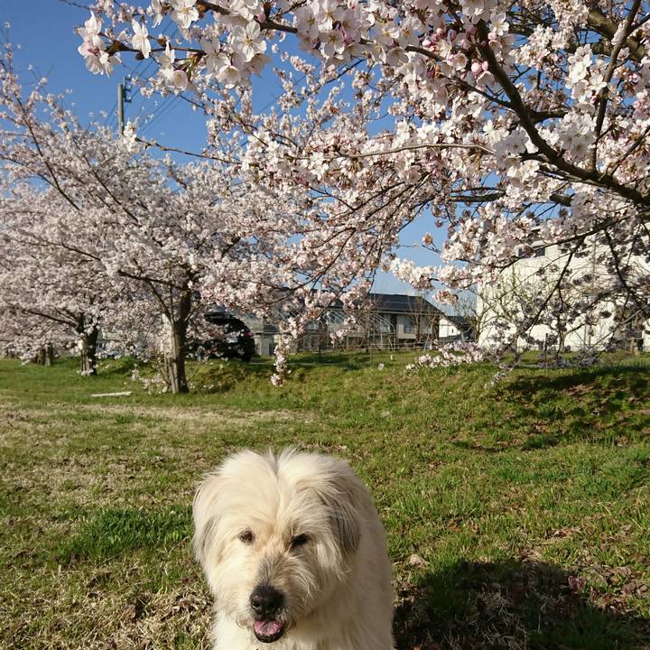 2a2fa90c 4a45 4996 9e48 74530d205cec