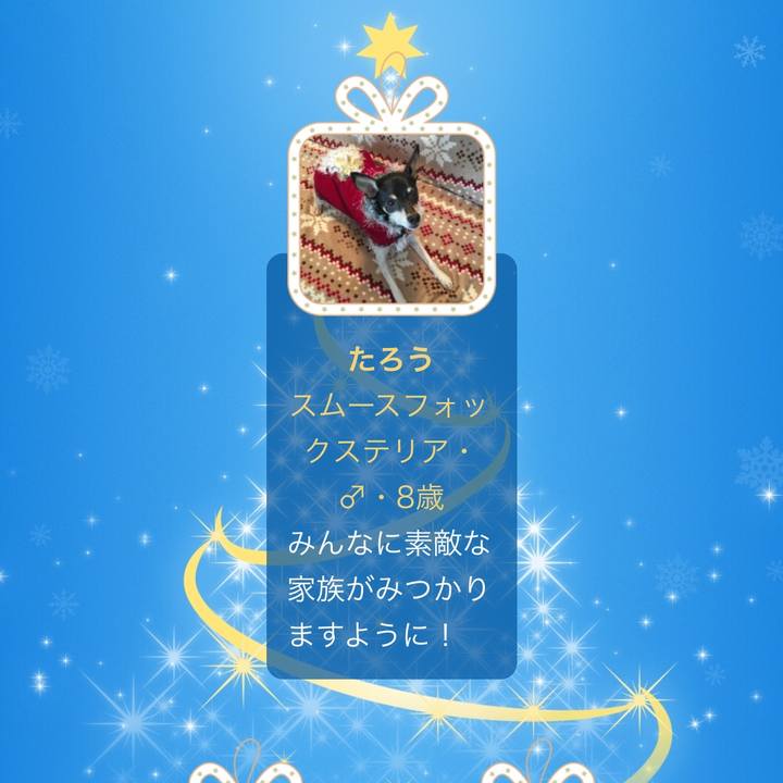 2a2fc087 19d4 4a33 a13d 58f15cdc4049