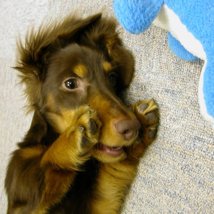 2a306eb4 1dd4 4ec9 af7d 200d4c84e0a8