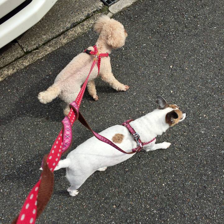 2a30d010 e5cb 4b7c b1e5 fcfbaed45005