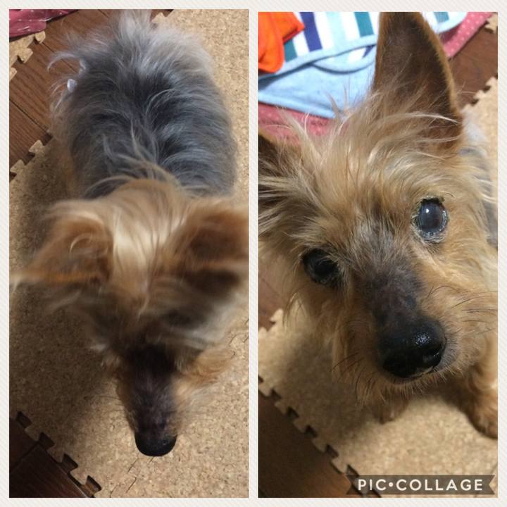 2a30f386 0f7a 4aea aad5 f4bb724613d2