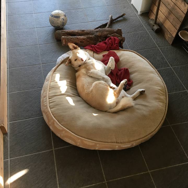 2a31f4d7 0a2e 4ff0 9bd3 01cc433c6e14