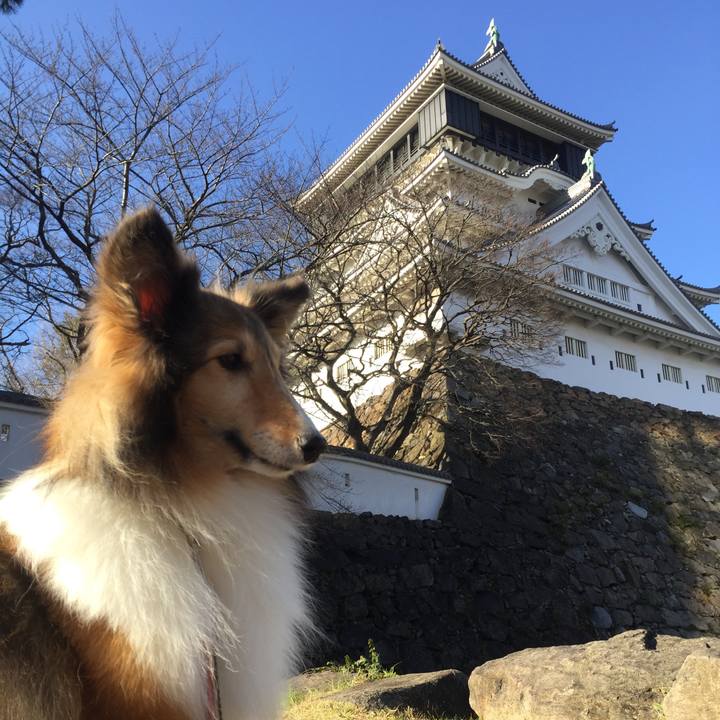 2a322bec 4a51 427b bdef 725bae2109c9