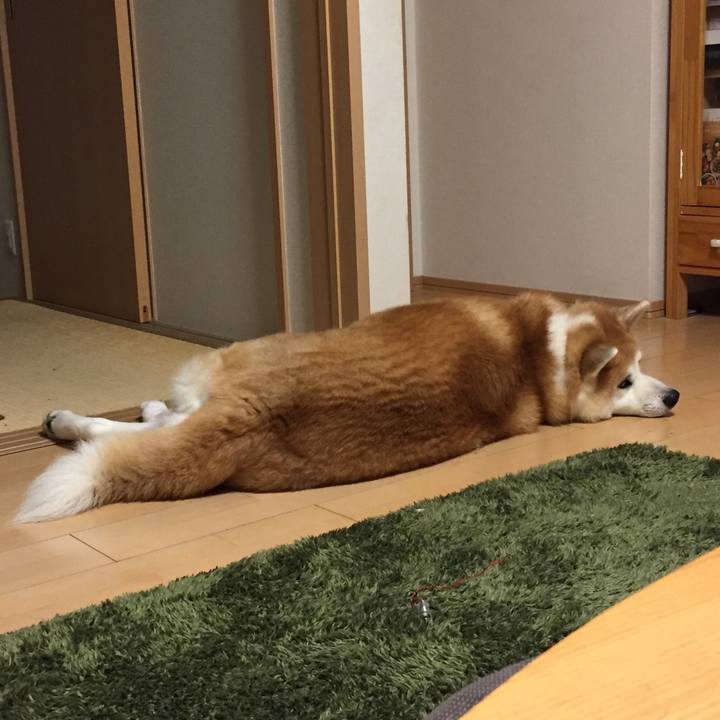 2a327b07 1205 40ea 9238 a47f45b04202