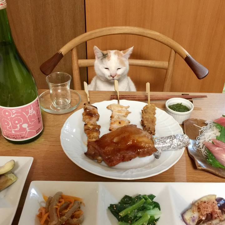 2a32f2fd 5f74 49f0 82f1 693a4e1c656a