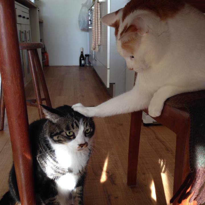 2a350c29 6885 45ee 9a8c f1e64f195215