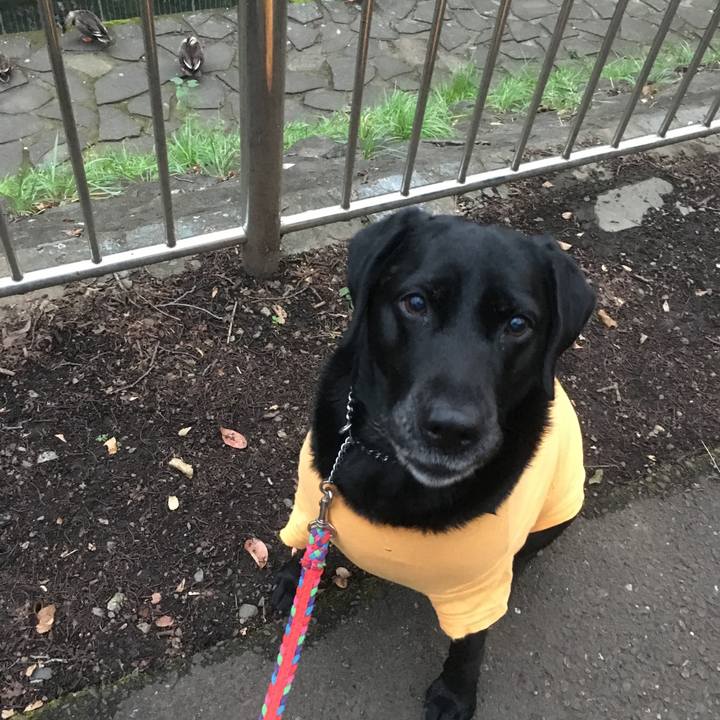 2a352091 7552 44b5 8f57 d308067c0fbf