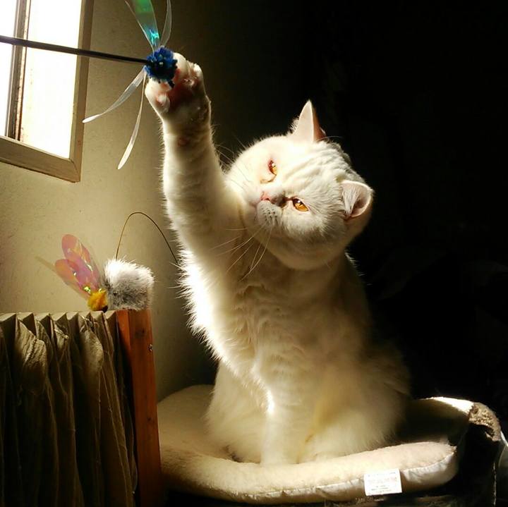 2a358b45 38f4 4d29 ad93 b67637aee5f5