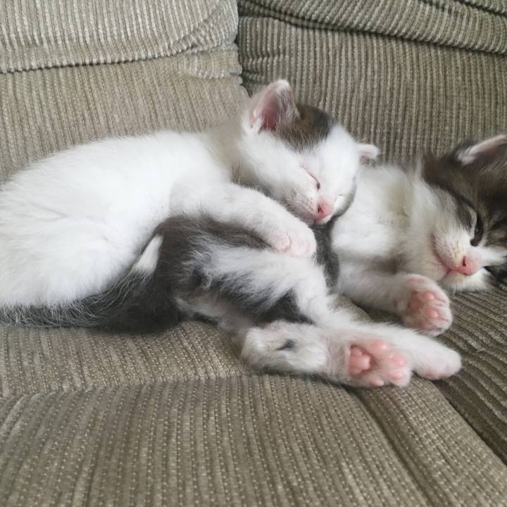 2a359ef1 a301 48db 8431 e4c0d64b60a5