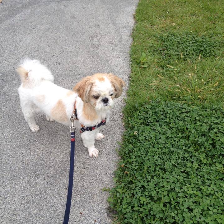 2a35e131 8f1a 4ede a072 616a5b8eddd4