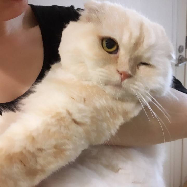 2a364156 a910 45d9 b1ea 3c344b65a4d5