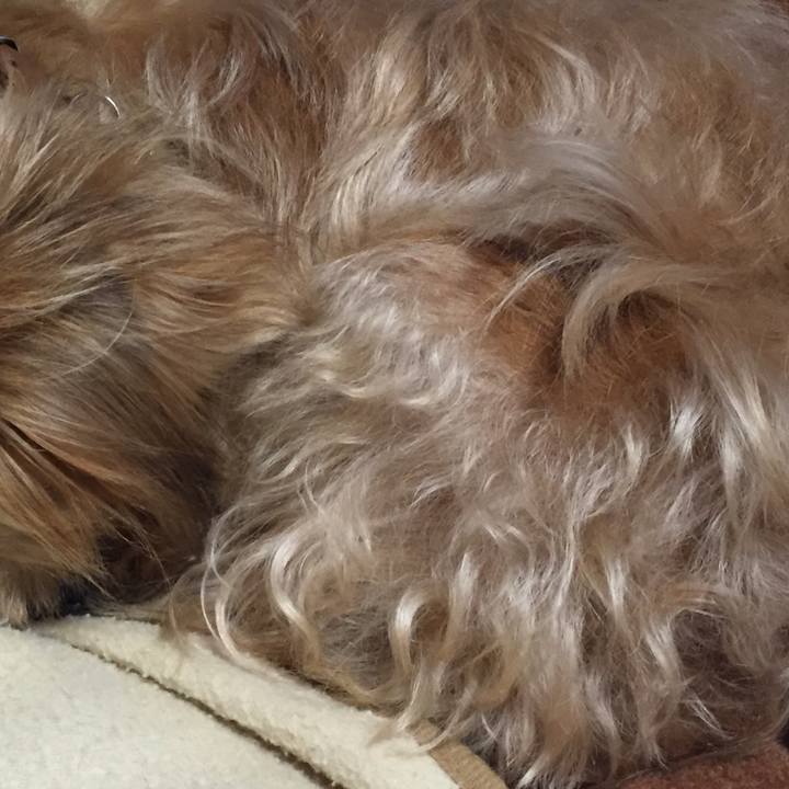 2a374c4f aa89 41ac aeaa d19e112f39db