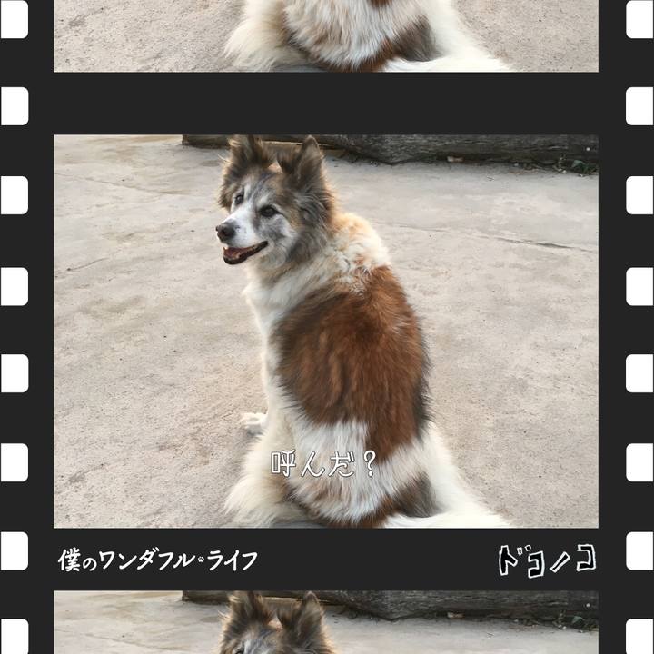 2a37ee12 0ae3 409d a75f cc33e097c196