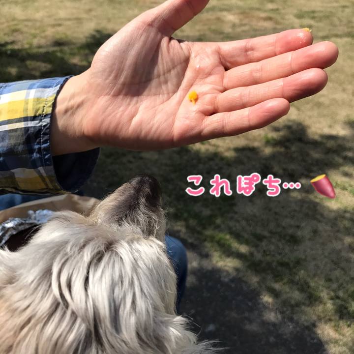 2a37f355 f699 48e1 97ee 382c15fe3437