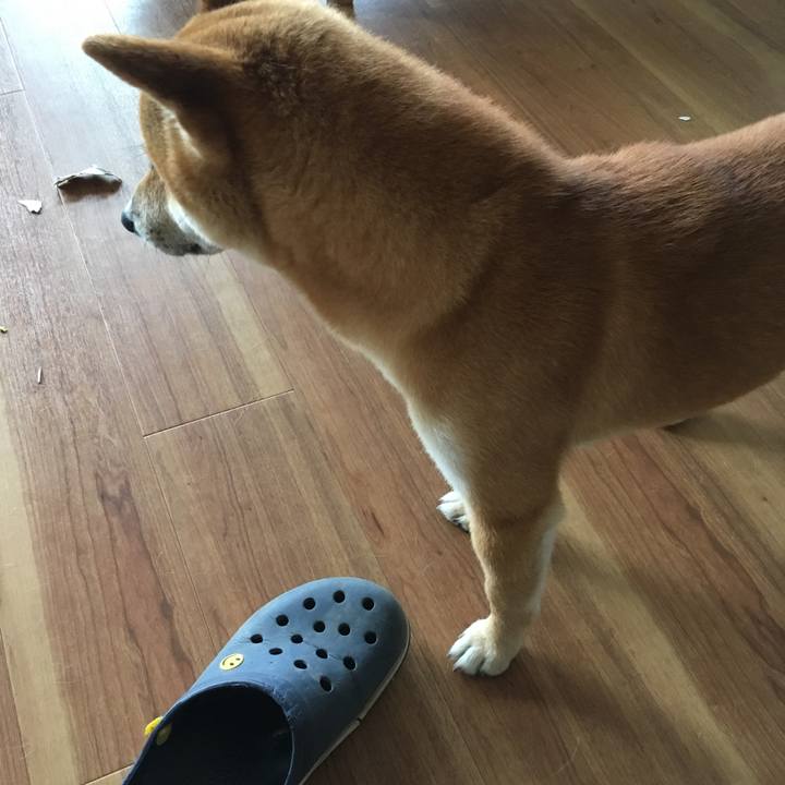 2a383d4c 05fe 4e8b b3da 06e701f09e39