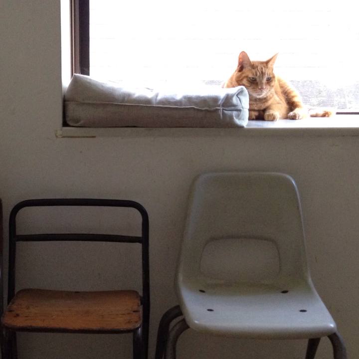 2a390056 1648 47af b9b8 49b744a919ad