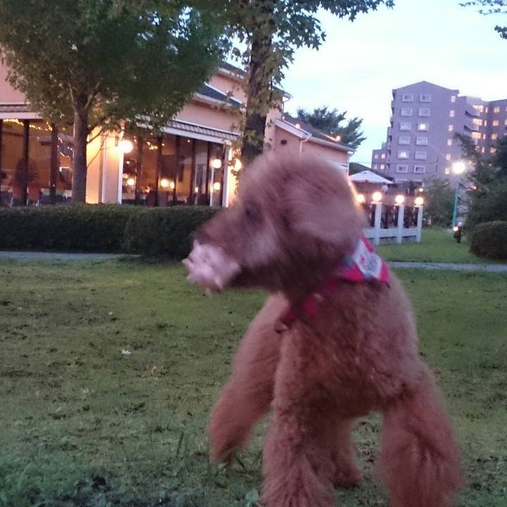 2a392bbd e833 443c b78e 81ceba6ca823