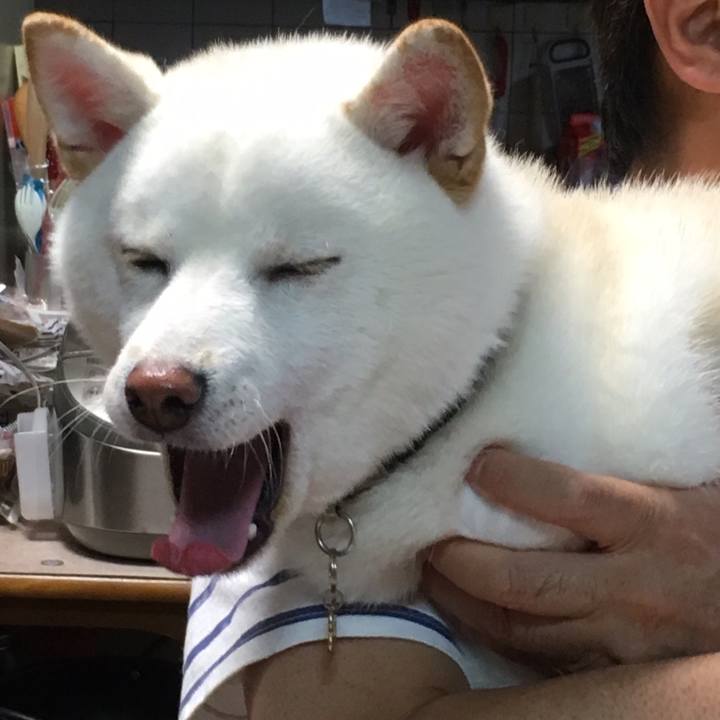 2a39e941 ed31 46de b5e4 fcb8eac6fc1a