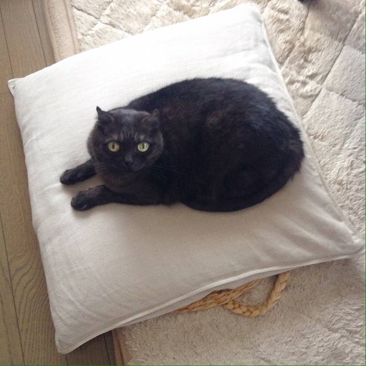 2a3a400f 5e17 4264 9a5d 8082a43e0553