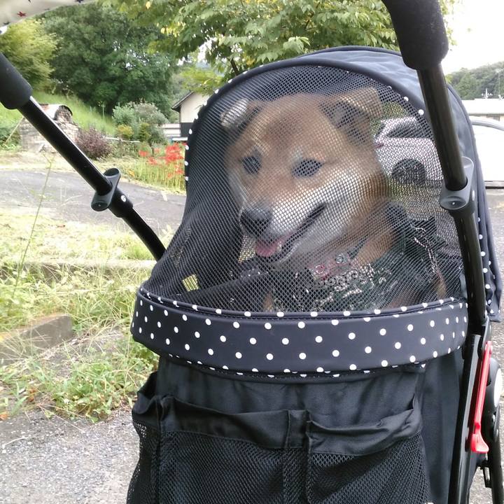 2a3a676b 26e8 4f54 a6e0 d444ba89e2fb