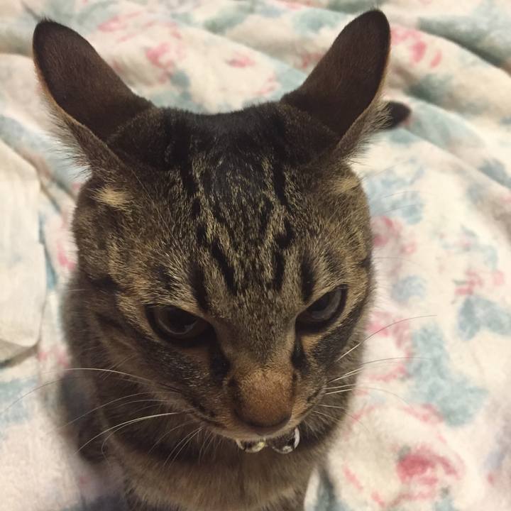 2a3a95c8 b1c9 461c a0d6 c6ed156037f0