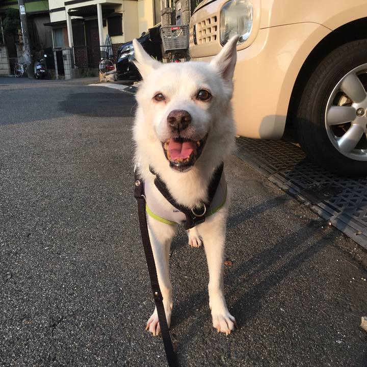 2a3a9b76 62ee 41d4 9378 96a152c6e3f8