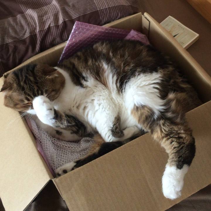 2a3b37f5 1809 4df7 9e16 a577c7b968f3