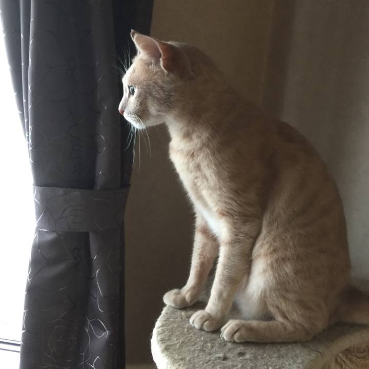 2a3c1299 f2a2 4881 8ab6 04f4073f26dc