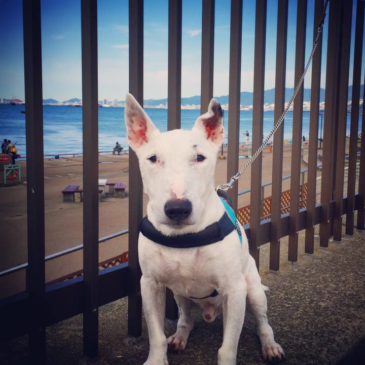 2a3c8827 968e 4479 9d45 83654810e10c