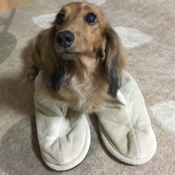 2a3c9182 38f1 4404 b41b df3fb4d960f0