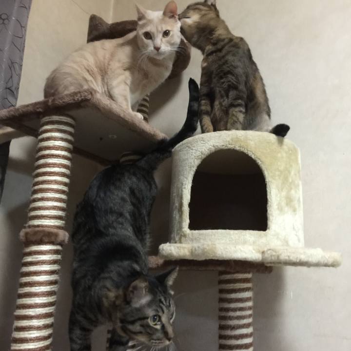 2a3ca539 2b1b 4c8b 92e9 40d424308c7e