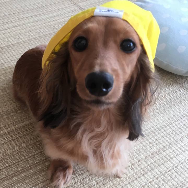 2a3cbbec 292d 4f12 8d18 add2b9509725