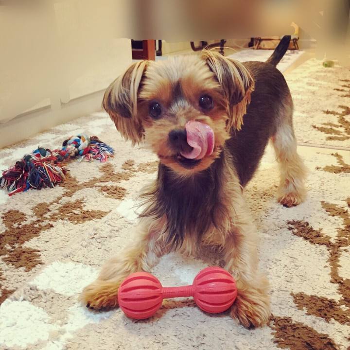 2a3cc711 b7b8 4269 99de 917953089658