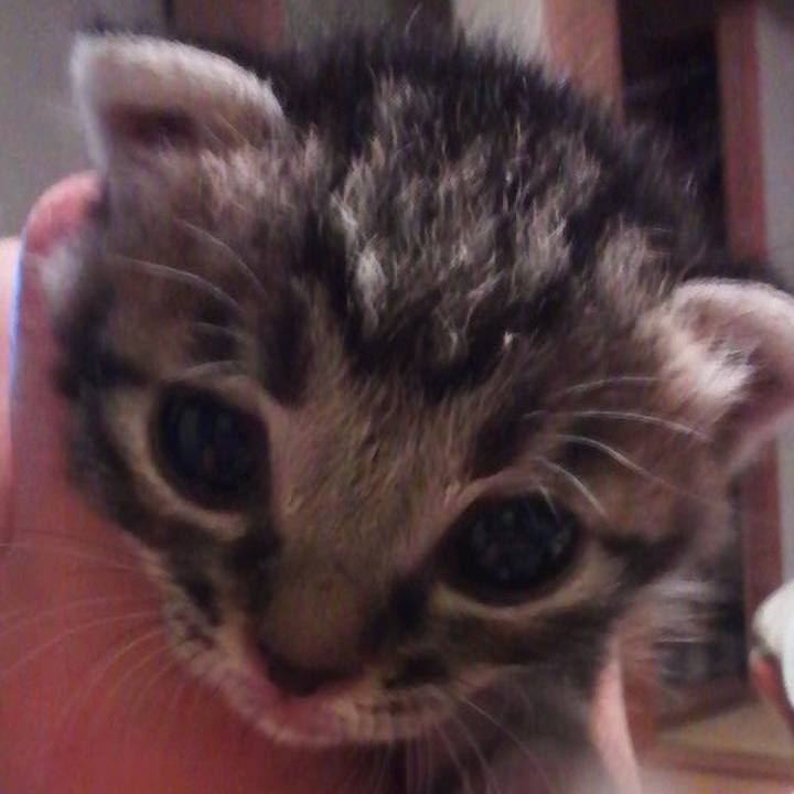 2a3ce0ba 7a1b 4781 bf20 412161bb4768