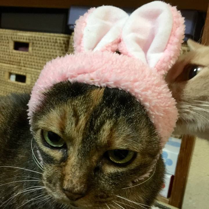 2a3d5bae b0e2 43d7 96dd 8df139815819