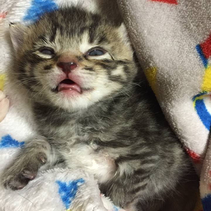 2a3d8f2c fe0a 46c2 be65 2d7efd5eb18f