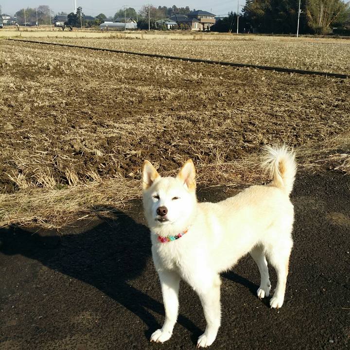 2a3e1889 58c9 415b b8cd 2ca3cdd56d16