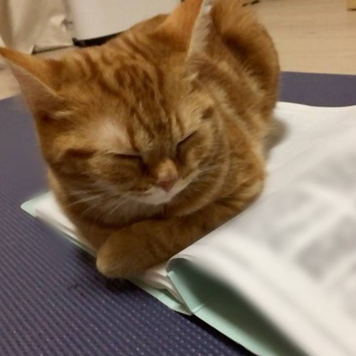 2a3e1c9d e51e 4fbc 885e 90b8812f6abb