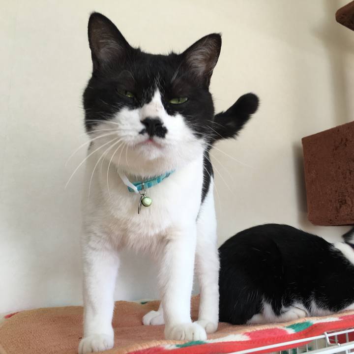 2a3f54f5 2ae6 4f39 9624 b27778d36d49