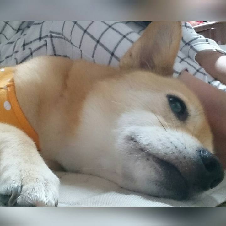 2a3f90c2 0ff4 412f 9b9a 0359db5147d7