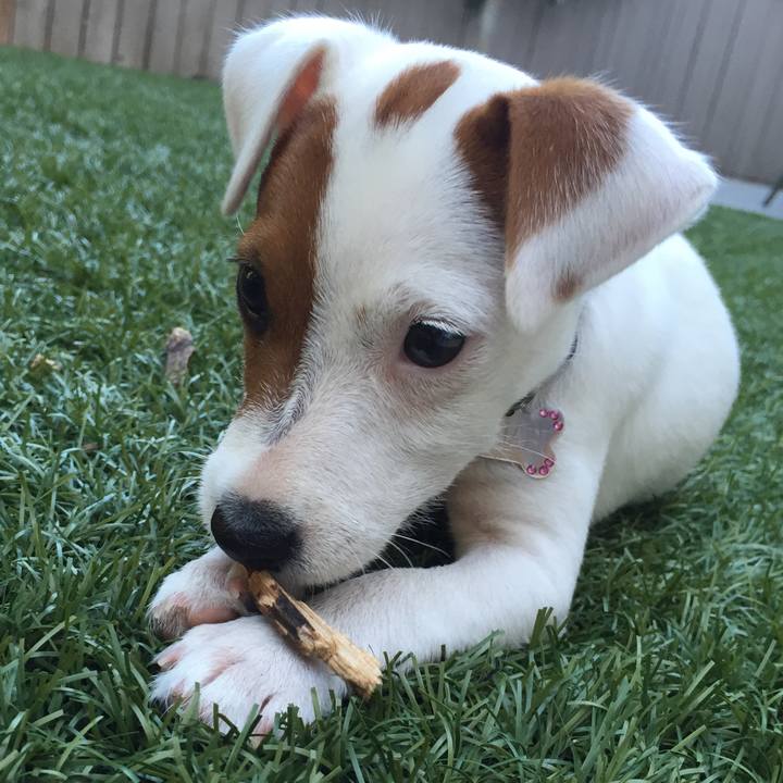 2a3fa27d d77c 4b8e 9465 369c4a327443