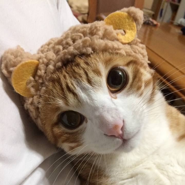 2a400647 7590 4932 928c 406c13cc3de1