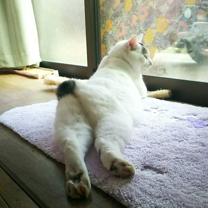 2a414c4b f4f8 4687 a5c8 4ea1d8d3efd8