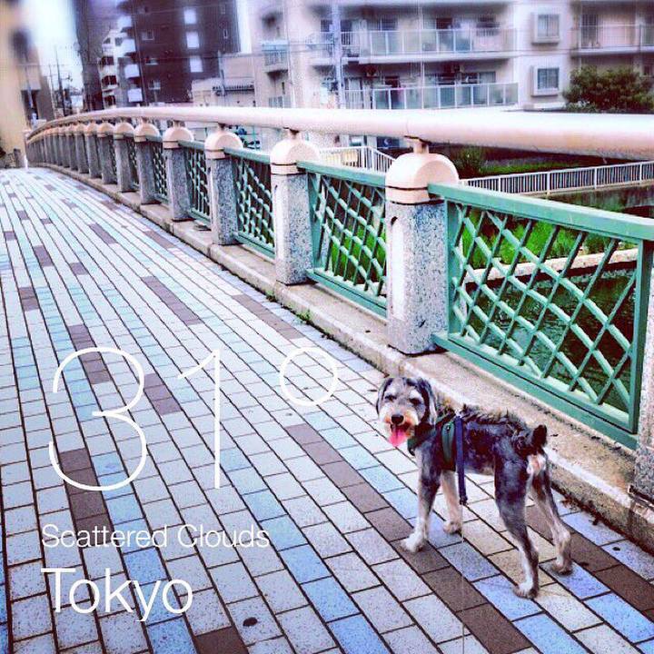 2a41c0eb c032 4cea a19e 343c417e1afc