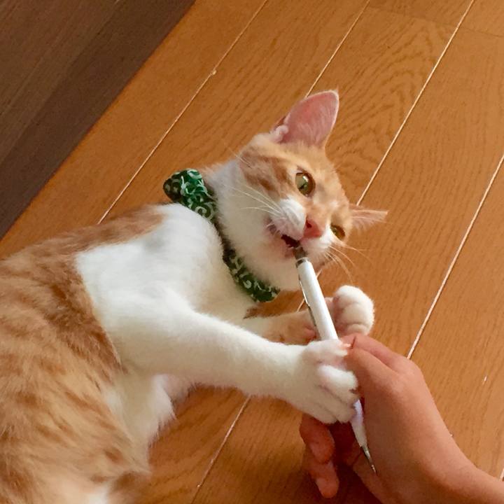 2a41c555 a126 4934 aa35 2b401c837e54