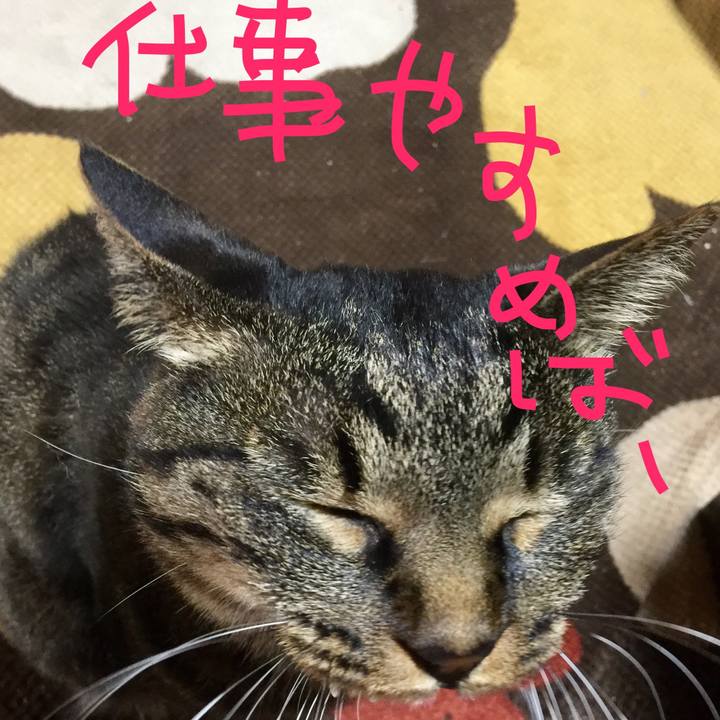 2a4248d8 ab93 4704 bbf2 5e5bf28c4d07