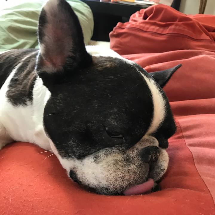 2a42b84a 9dda 4ee3 b92c f18745f753a9