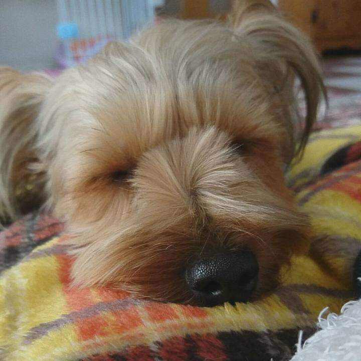 2a430bb4 d8d1 4df5 a442 309d5649a8c1