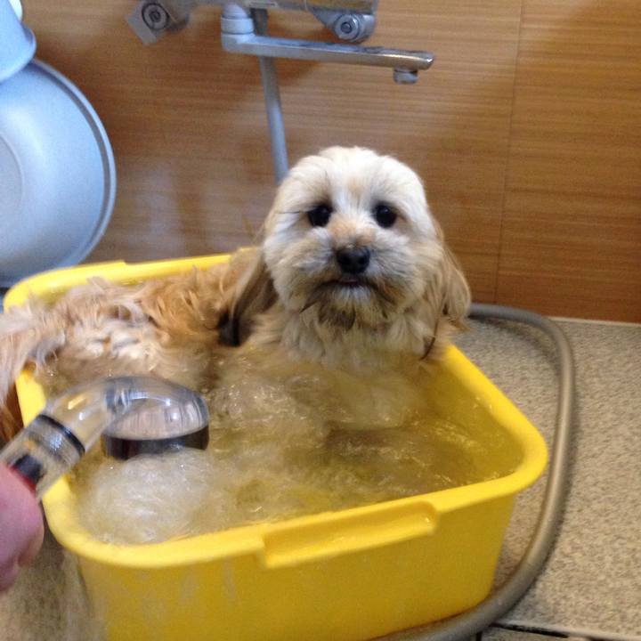 2a431167 03ed 4c1e baa0 72e0e201990a